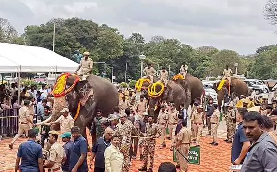 Pawan Kalyan : కుంకీ ఏనుగులను నేనే జాగ్రత్తగా చూసుకుంటా : పవన్ కల్యాణ్