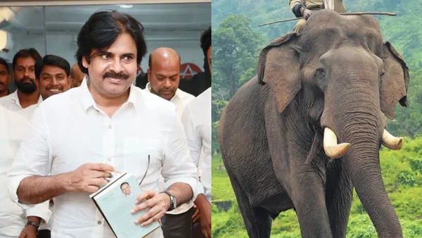 Pawan Kalyan : కుంకీ ఏనుగులను నేనే జాగ్రత్తగా చూసుకుంటా : పవన్ కల్యాణ్ Pawan Kalyan : కుంకీ ఏనుగులను నేనే జాగ్రత్తగా చూసుకుంటా : పవన్ కల్యాణ్