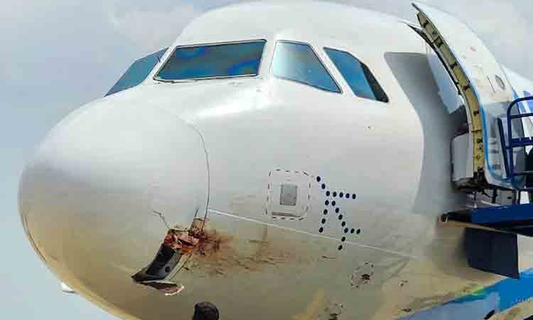IndiGo Flight : విమానాన్ని ఢీకొట్టిన పక్షి