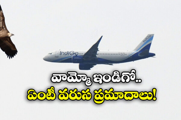 IndiGo Flight : విమానాన్ని ఢీకొట్టిన పక్షి