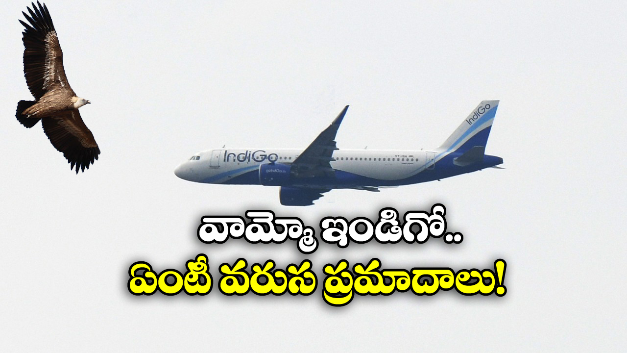 IndiGo Flight : విమానాన్ని ఢీకొట్టిన పక్షి