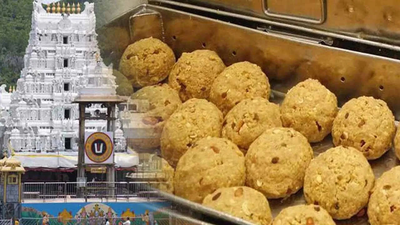 TTD : శ్రీవారి లడ్డూ పేరు దుర్వినియోగంపై టీటీడీ కఠిన వైఖరి