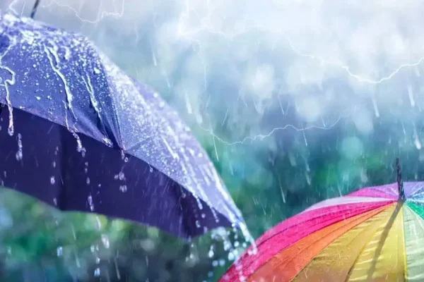 Heavy Rains : నేడు ఈ జిల్లాల్లో భారీ వర్షాలు