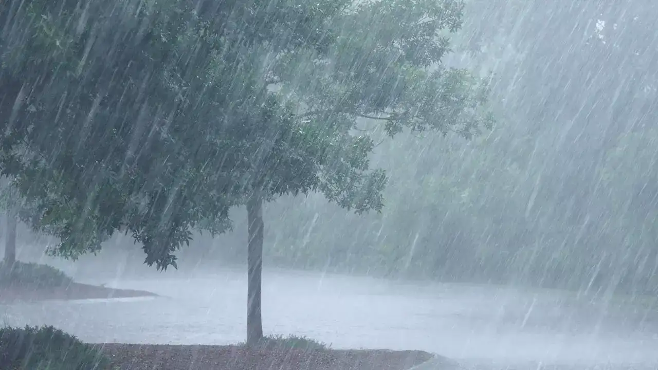 Telangana Rains : తెలంగాణ‌లో మూడు రోజులు భారీ వర్షాలు..