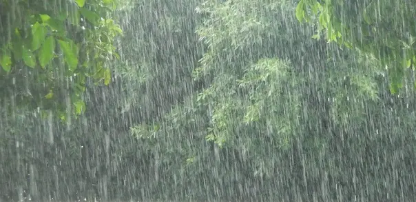 Rains : నేడు, రేపు పలు జిల్లాలకు ఆరెంజ్‌ అలెర్ట్‌