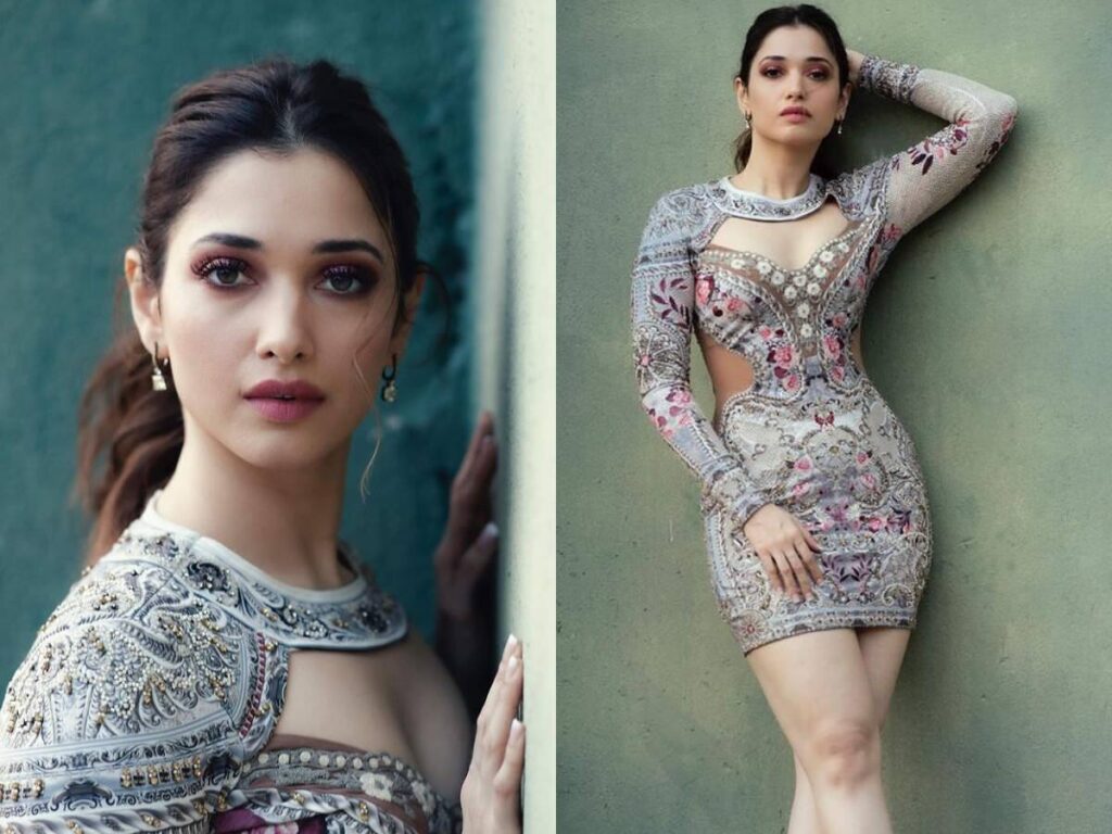 latest film news Tamannaah : అబద్ధం చెబితే ఊరుకోను : తమన్నా