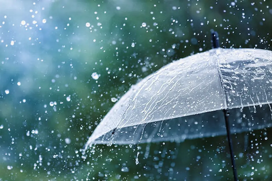 telugu news AP rains : ఆంధ్రప్రదేశ్‌లో రేపు పలు జిల్లాల్లో వర్షాలు