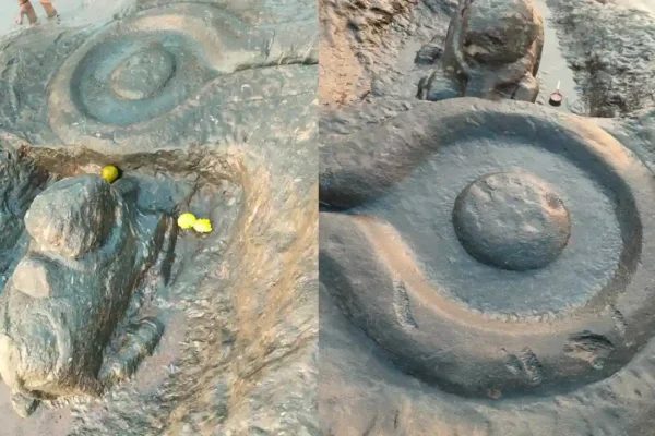 latest telugu news Andhra : కార్తీకమాసంలో శివయ్యే ఆ ఊరికి వచ్చాడా … భక్తుల ఆనందం