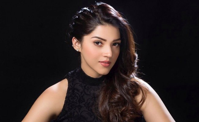 latest film news Mehreen Pirzada : తన పెళ్లి జరిగిందంటూ వచ్చిన వార్తలపై స్పందించిన మెహరీన్