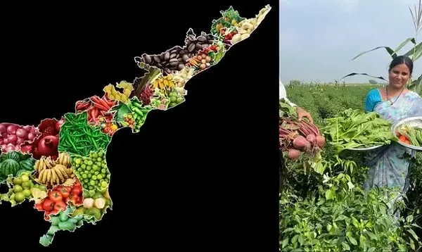 latest telugu news Andhra Pradesh : ఆర్బీఐ నివేదికలో ఆంధ్రప్రదేశ్ ప్రగతి గర్వకారణం