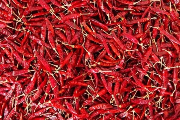 Guntur Chilli Prices