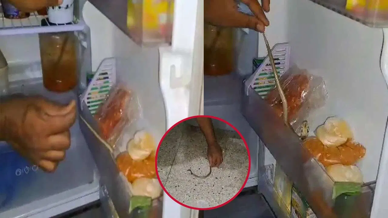 West Godavari - Fridge Shock