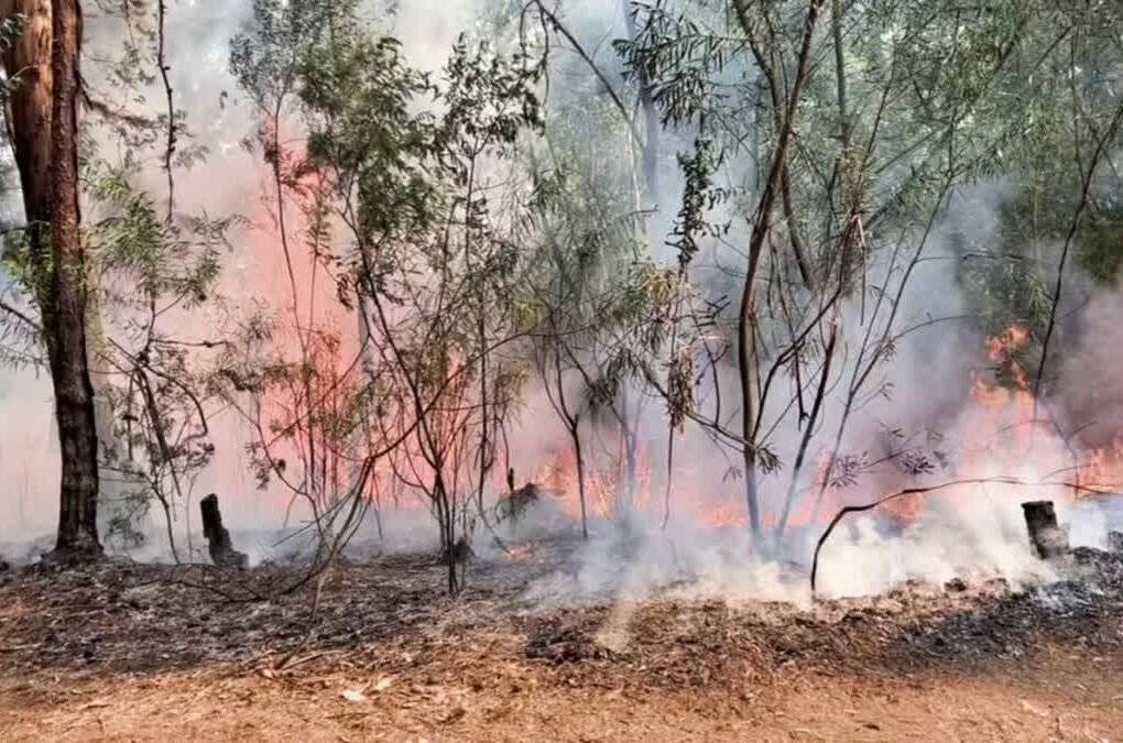 Alluri Sitharama Raju