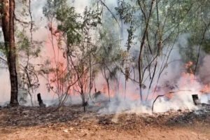 Alluri Sitharama Raju