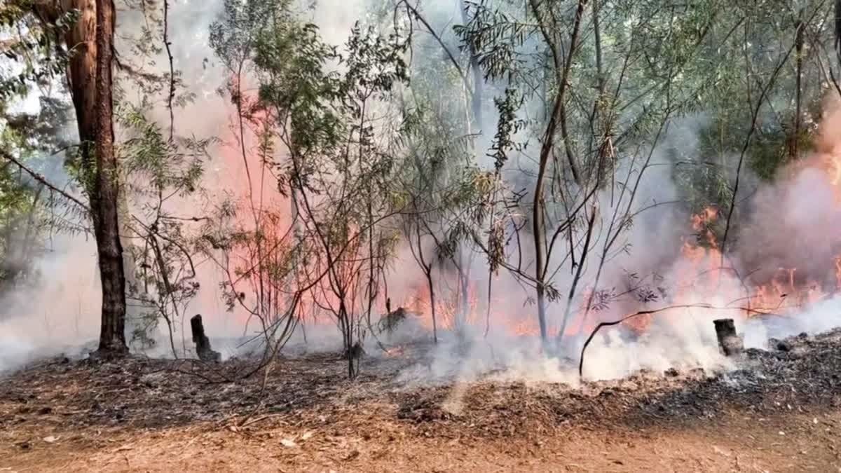 Alluri Sitharama Raju