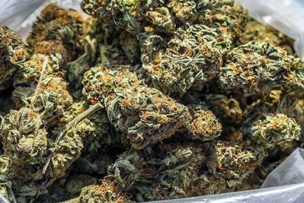 Alluri Sitharama Raju