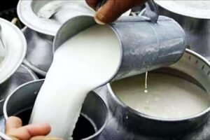 Rajahmundry Milk Tragedy