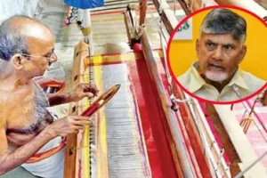 AP Handloom
