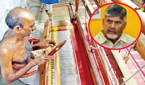 AP Handloom