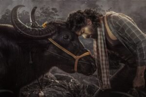 Maremma movie